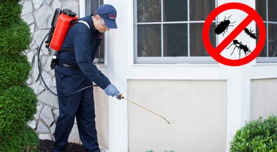 Eskipazar Fare İlaçlama böcek ilaçlama ve haşere kontrolü — ilaclama-tr.com